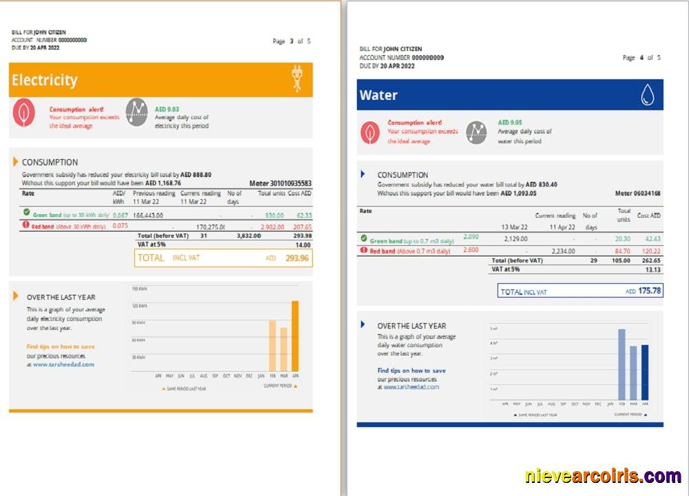 UAE Sharjah Al Ain Distribution Co utility bill 5 pages 3 4